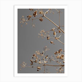 Sunshine Kissed Branches   Greige Dried Flowers Art Print