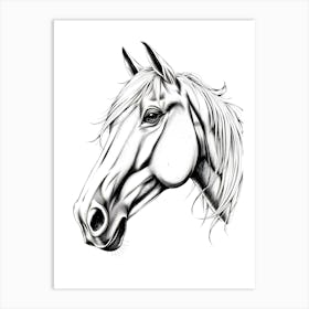 Horse Head Drawing 2 Art Print