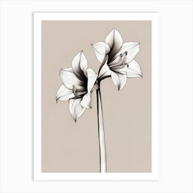 Amaryllis Minimalist Line Art Art Print