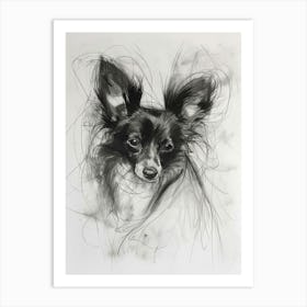 Papillon Dog Charcoal Line 4 Art Print