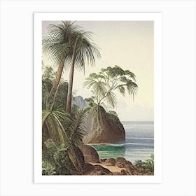 Coastal Cliffs And Rocky Shores Waterscape Vintage Illustration 1 Art Print