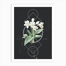 Vintage Crinum Giganteum Botanical with Geometric Line Motif and Dot Pattern Art Print