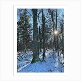 Winter In The Woods 10 Art Print