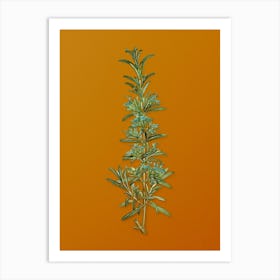 Vintage Rosemary Botanical on Sunset Orange n.0238 Art Print