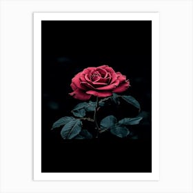 Dark Rose 48 Art Print