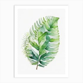 Soft Shield Fern 1 Watercolour Art Print