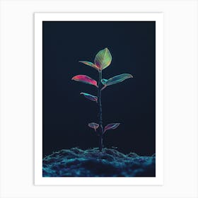 Plant Growing Out Of The Ground 6 Art Print