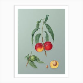 Vintage Walnut Peach Botanical Art on Mint Green n.0338 Art Print