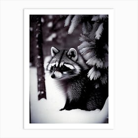 Raccoon In Snow 2 Vintage Art Print