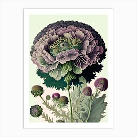 Scabiosa 1 Floral Botanical Vintage Poster Flower Art Print