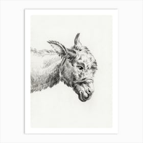 Head Of A Donkey, Jean Bernard Art Print