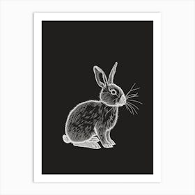 Mini Sable Rabbit Minimal Illustration 2 Art Print