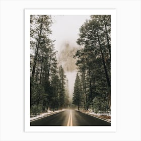 Forest Road Art Print