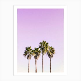Three Palm Trees Against A Purple Sky Art Print