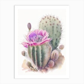 Echinocereus Cactus Pastel Watercolour 2 Art Print