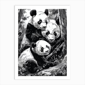 Giant Panda Playing Together In A Forest Ink Illustration 2 Art Print