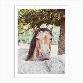 Two Horses In A Field Art Print