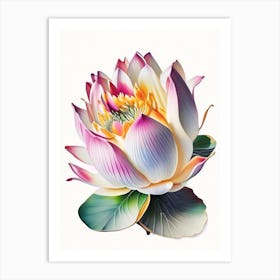 Giant Lotus Decoupage 1 Art Print