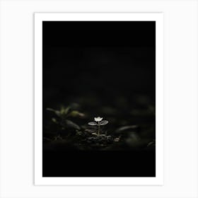 Single Flower In The Dark 79 Art Print