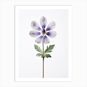 Pressed Wildflower Botanical Art Lupine 1 Art Print