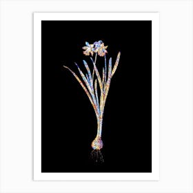 Stained Glass Lesser Wild Daffodil Mosaic Botanical Illustration on Black n.0200 Art Print