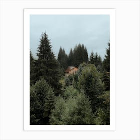 Cabin In The Woods Art Print