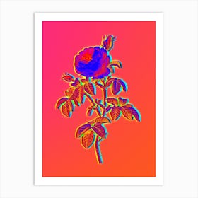 Neon Provence Rose Bloom Botanical in Hot Pink and Electric Blue n.0558 Art Print