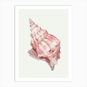 Pink Seashell 2 Art Print