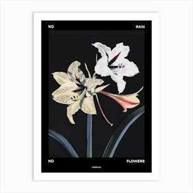 No Rain No Flowers Poster Amaryllis 1 Art Print