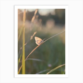 Butterfly On Grass.Generated AI. Wall Art Print Art Print