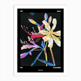 No Rain No Flowers Poster Agapanthus 1 Art Print