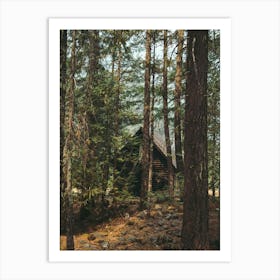 Woodland Forest Cabin Art Print