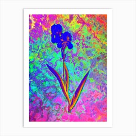 Tall Bearded Iris Botanical in Acid Neon Pink Green and Blue n.0072 Art Print
