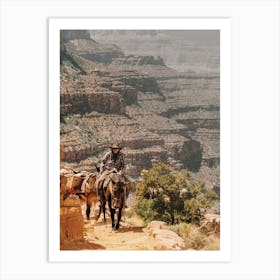 Riding Mules In The Grand Canyon Art Print