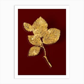 Vintage Witch Hazel Botanical in Gold on Red n.0550 Art Print