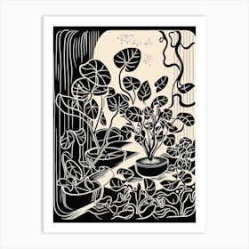 B&W Plant Illustration Peperomia 2 Art Print