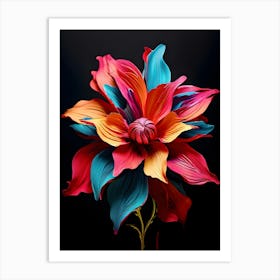 Dahlia Flower 7 Art Print