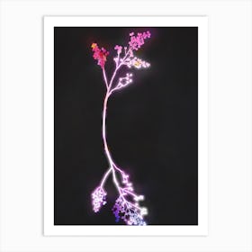 Florescence Fuschia Art Print