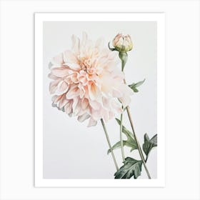 Watercolour Flower On White 13 1 Art Print