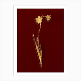 Vintage Sword Lily Botanical in Gold on Red n.0383 Art Print