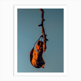 An Autumn Leaf In A Blue Sky Art Print