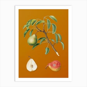 Vintage Pear Botanical on Sunset Orange n.0319 Art Print