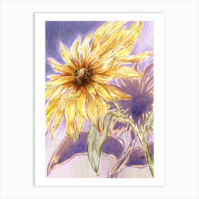 Sunflower Yellow Flowers Art Print