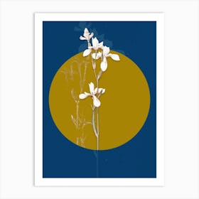 Vintage Botanical Siberian Iris on Circle Yellow on Blue Art Print