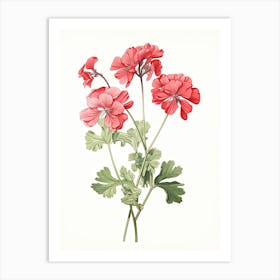 Geraniums Flower Vintage Botanical 0 Art Print