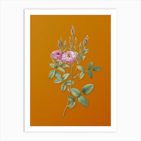 Vintage Mossy Pompon Rose Botanical on Sunset Orange n.0572 Art Print