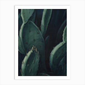 Floral Cactus Wall Art Print Art Print