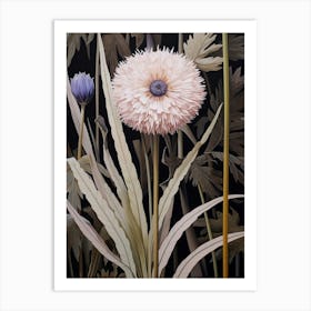 Flower Illustration Cornflower 4 Art Print