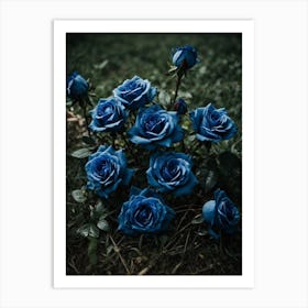 Blue Roses Art Print