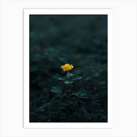 Single Yellow Flower 46 Art Print